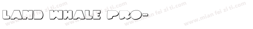 Land Whale Pro字体转换